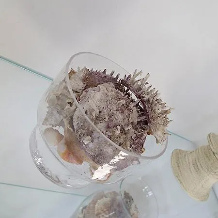 Excellent 加利波利